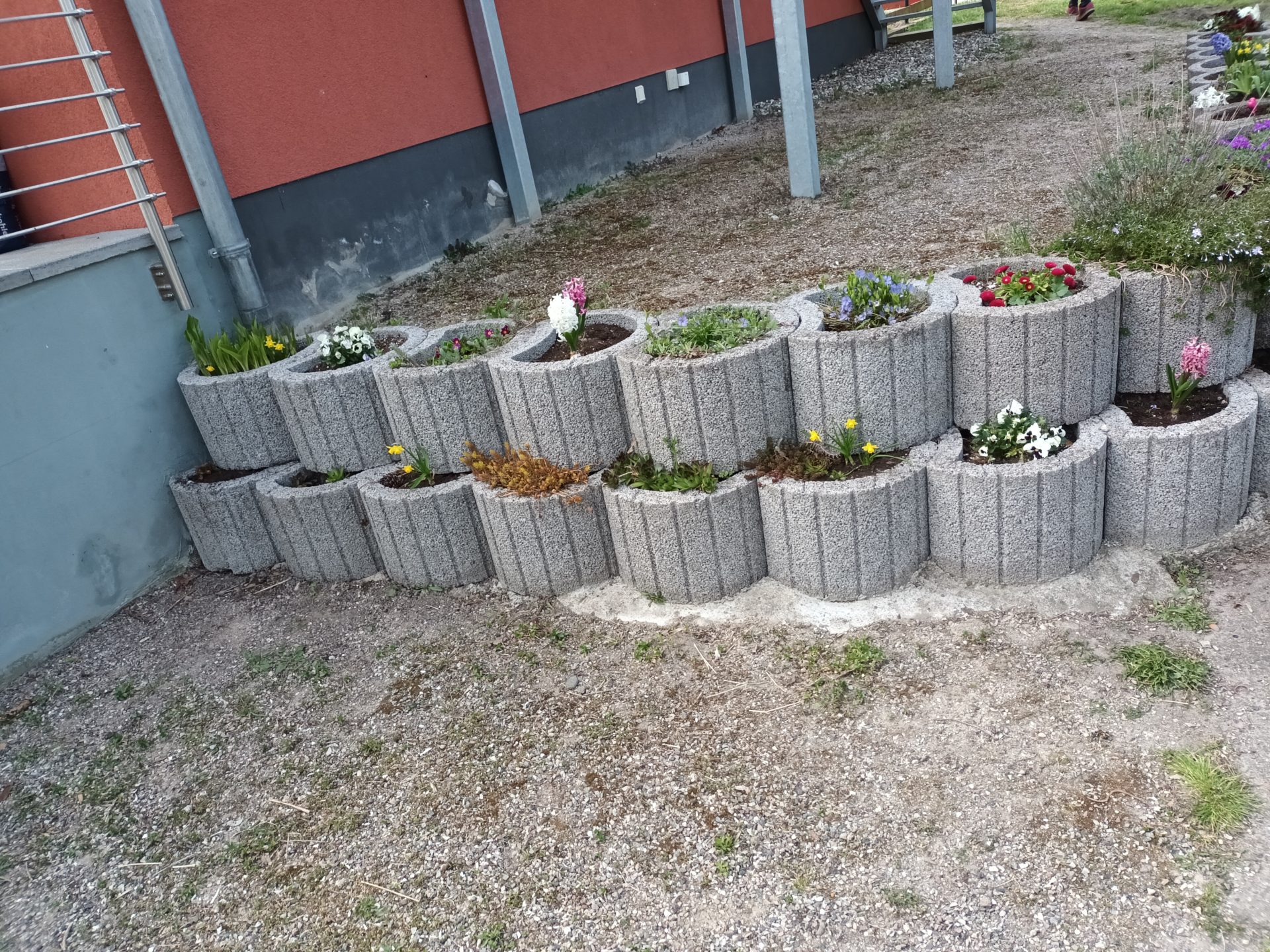Unser Garten