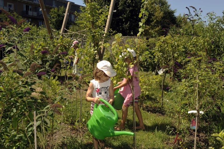 „… bis wir Bienen summen hören“