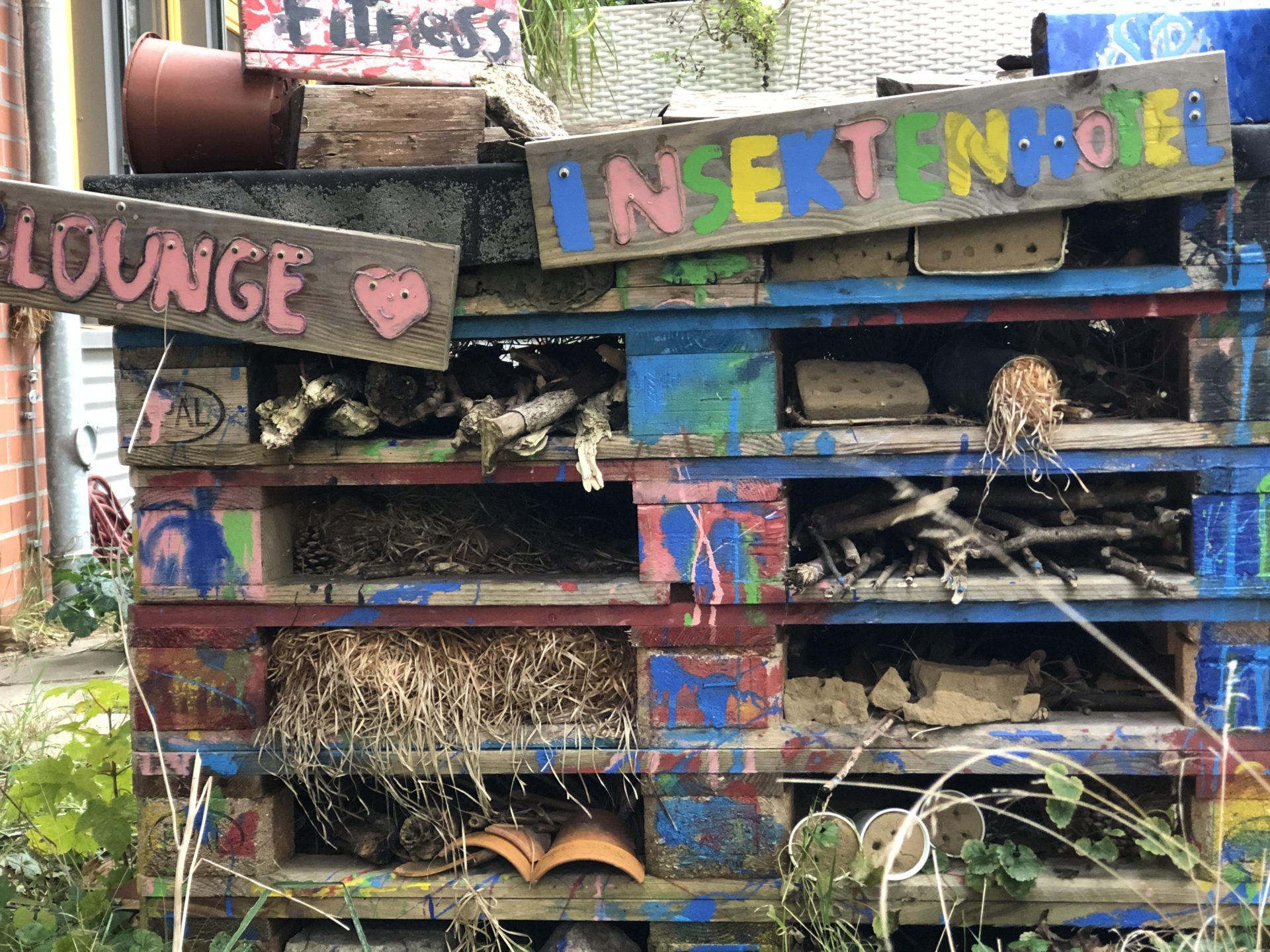 Auf dem Weg zum Naturgarten