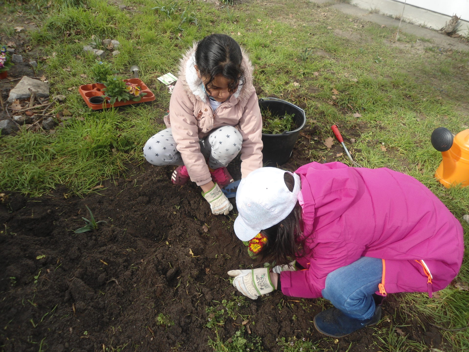 Schule als Garten