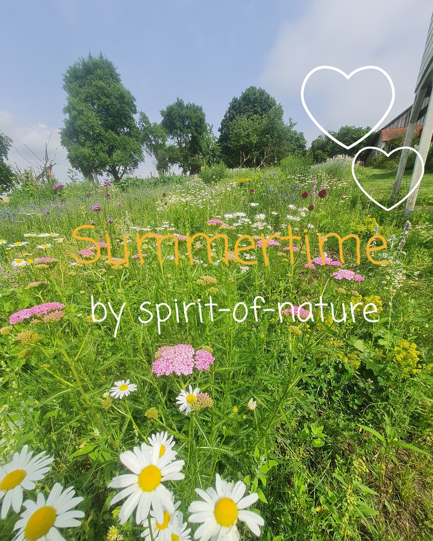 Wundergarten – „spirit-of-nature“ ein Paradies für die Artenvielfalt und ihre kleinen „Wunder“