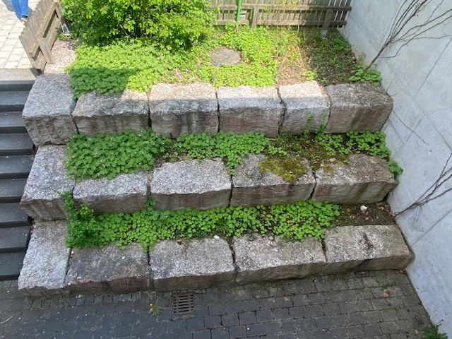 Die ungenutzte Treppe