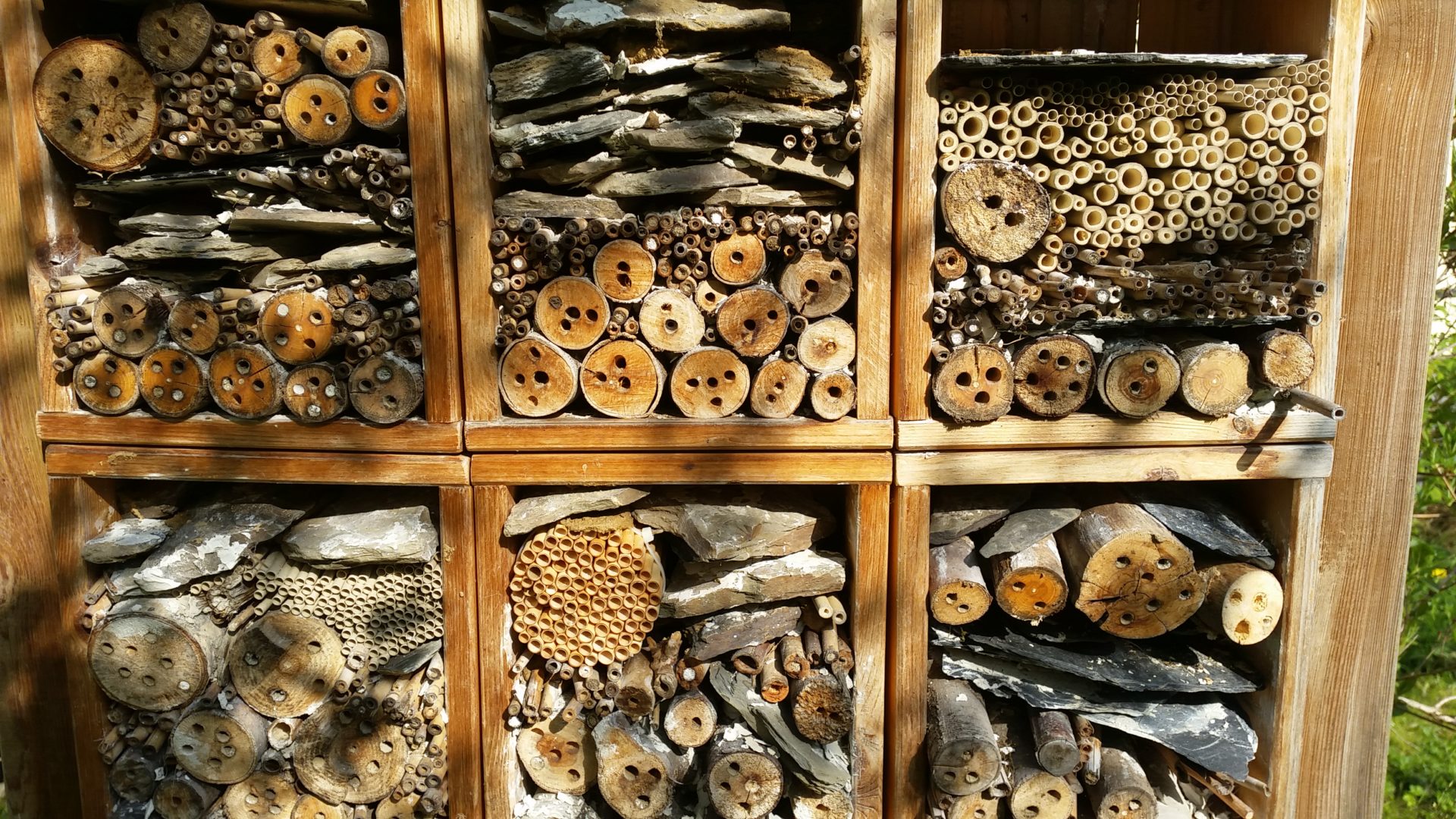 Bienen- und Vogelhotel am Löhrtor