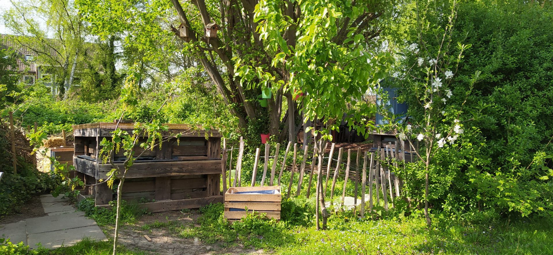Kleiner Naturgarten