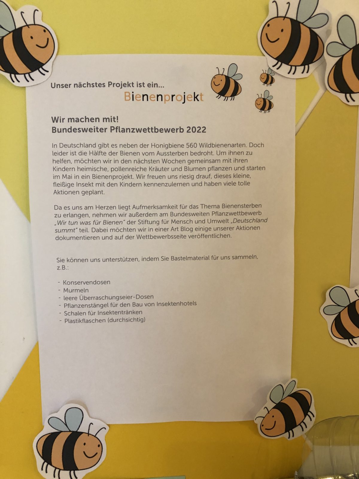 Wir starten in unser Bienenprojekt