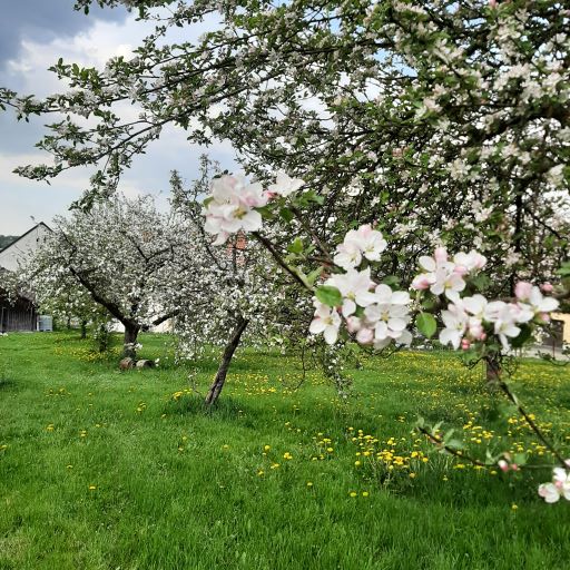 Der Obstgarten