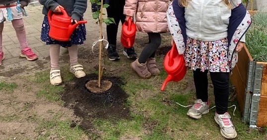 Gartenprojekt im Kindergarten