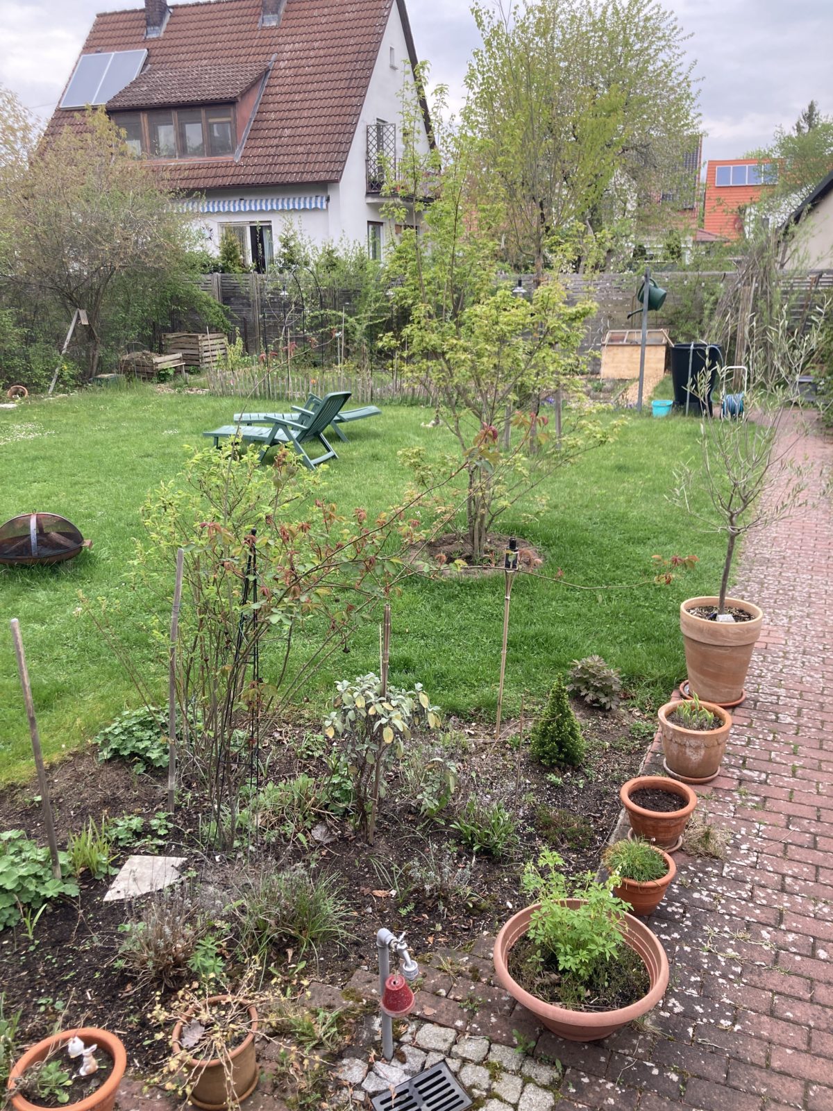 Gartenjahr 2022 🌱🐝