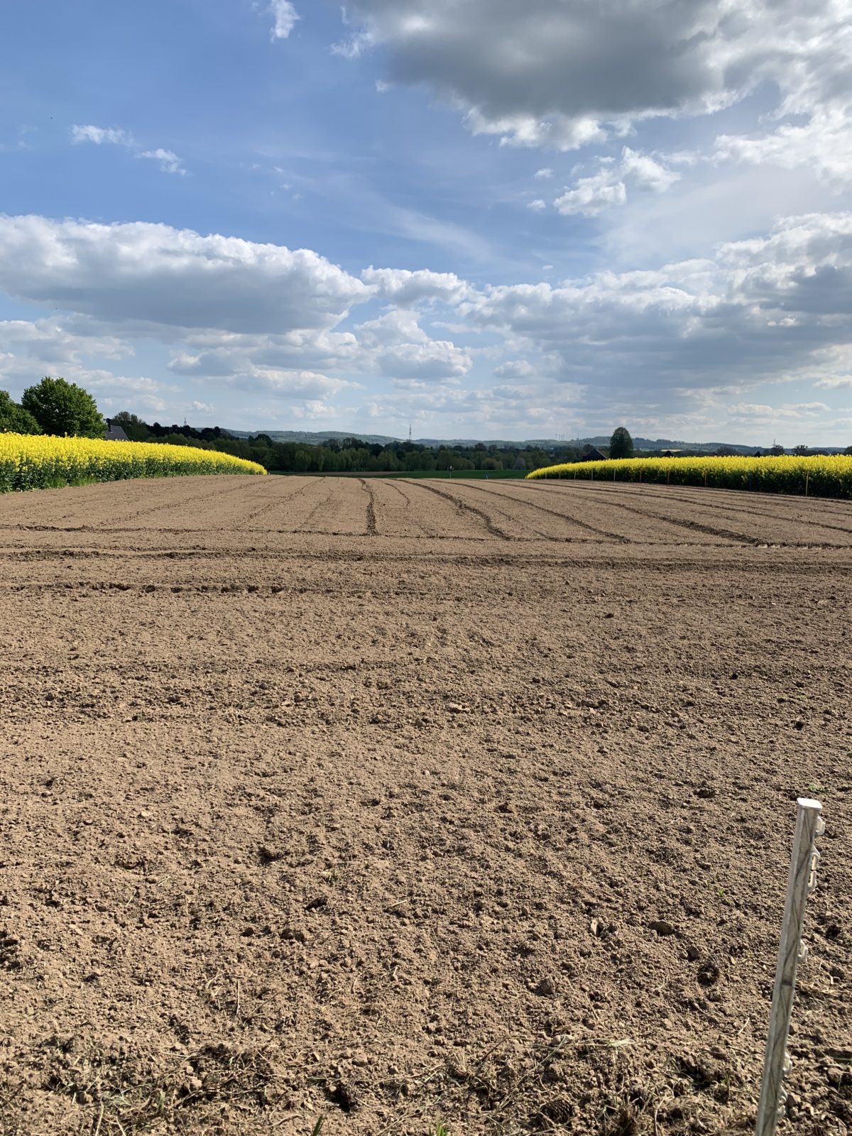 Vom intensiv bewirtschafteten Acker zur Streuobstwiese