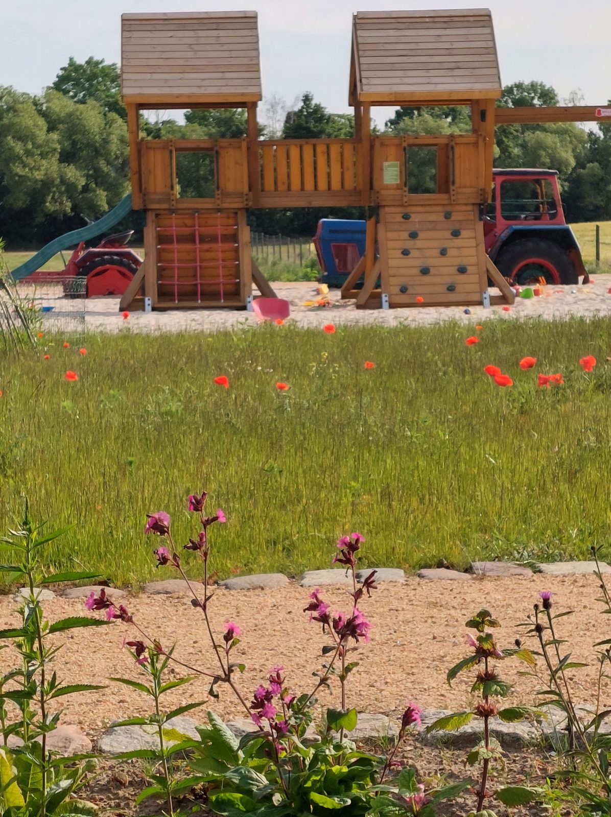 Spielplatzgestaltung mit heimischen Wildpflanzen