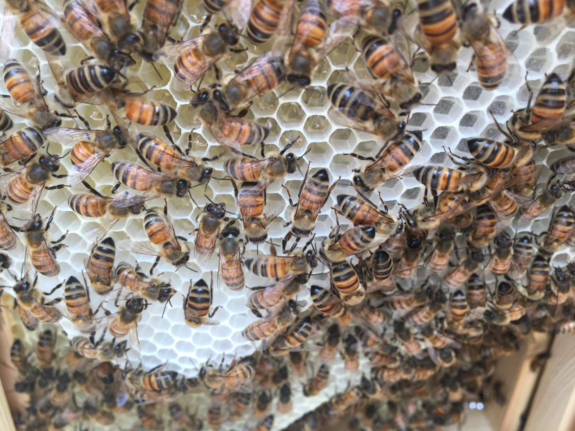 SumSum auf der Dachterrasse