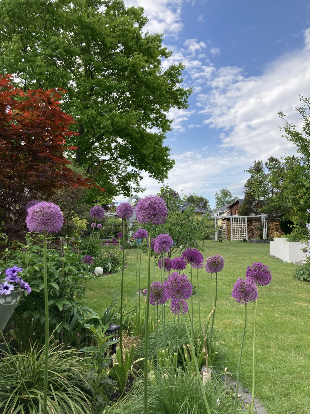 Erweiterung eines bienenfreundlichen Familiengartens