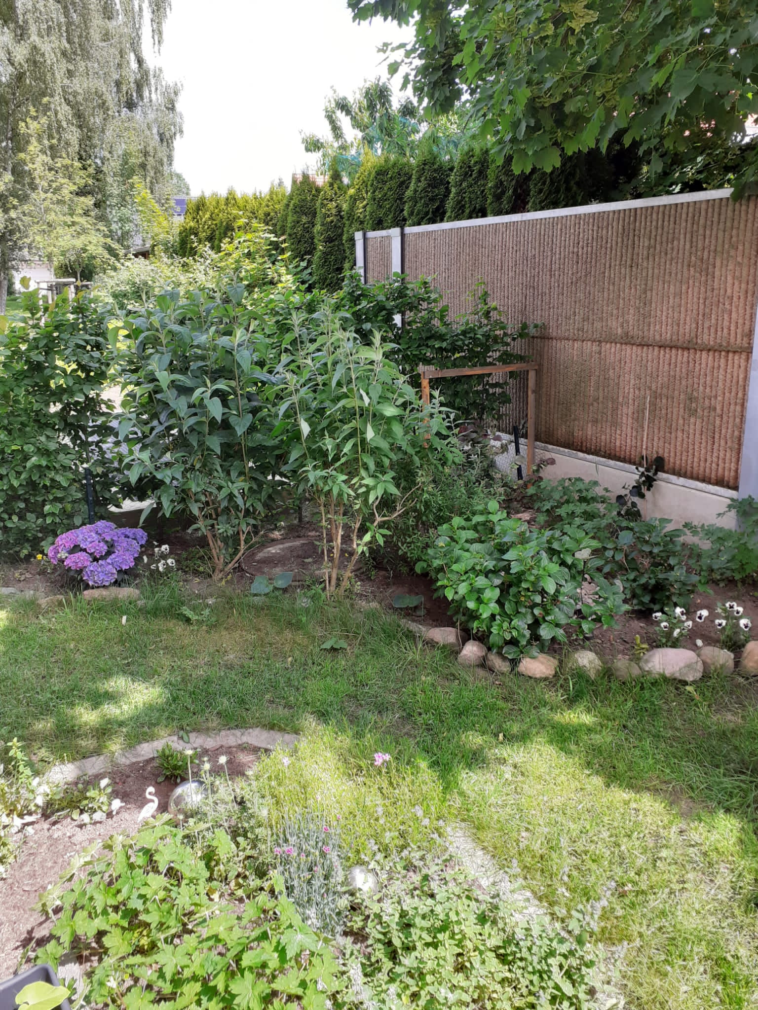Garten Ecke