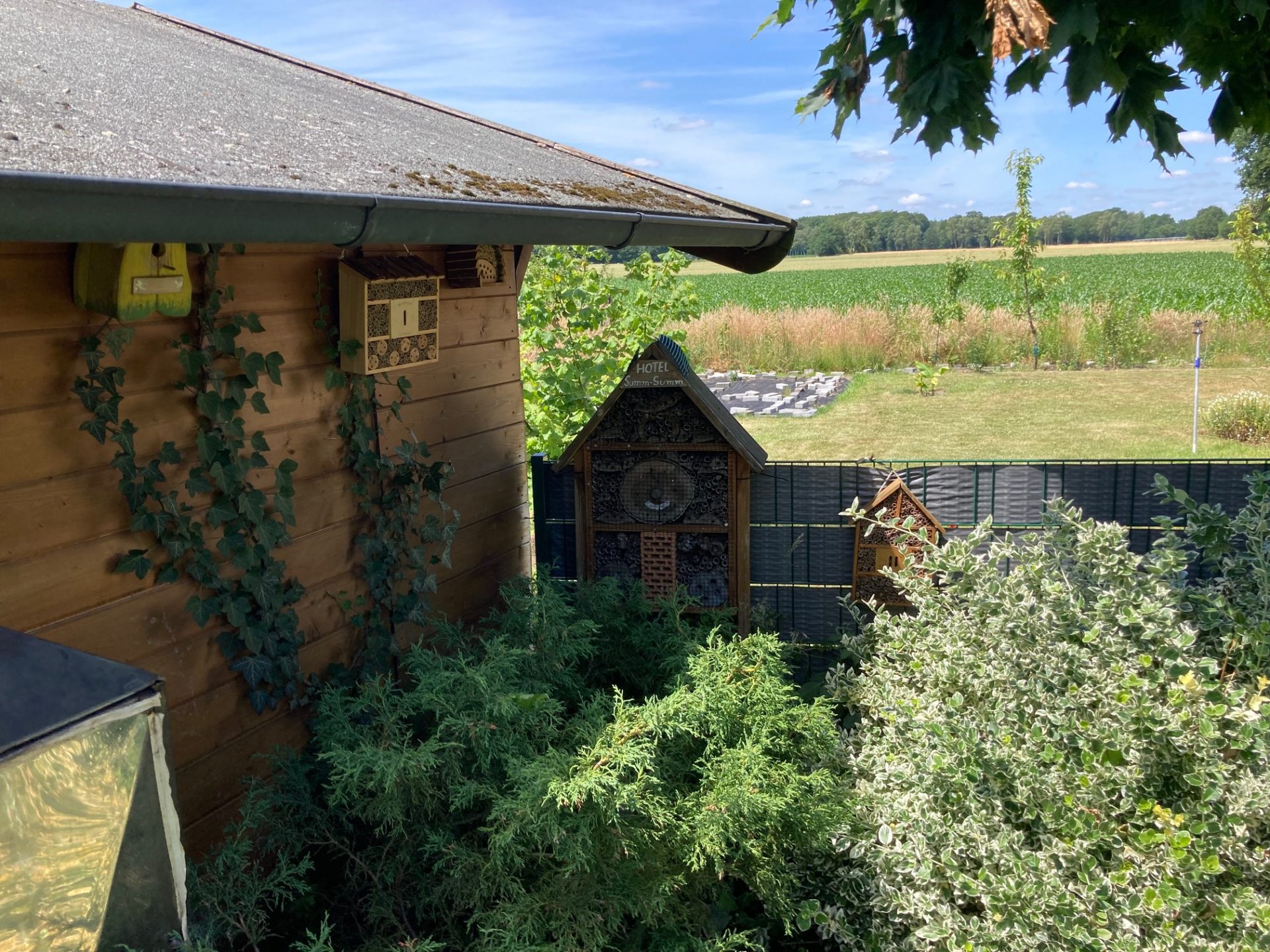 Unser kleines Bienenparadies