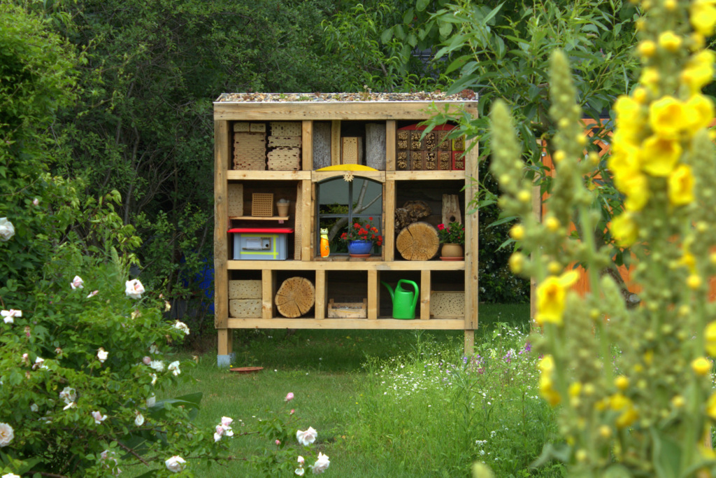 Wilder Garten am Haus