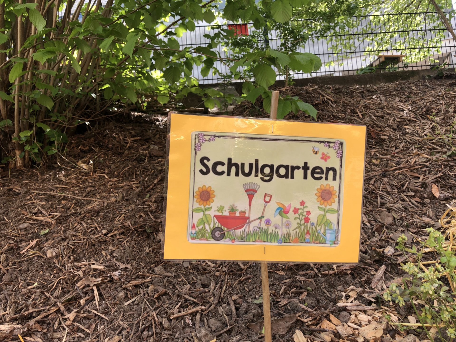 Wir holen die Natur in die Schule und machen sie zum Erlebnis.