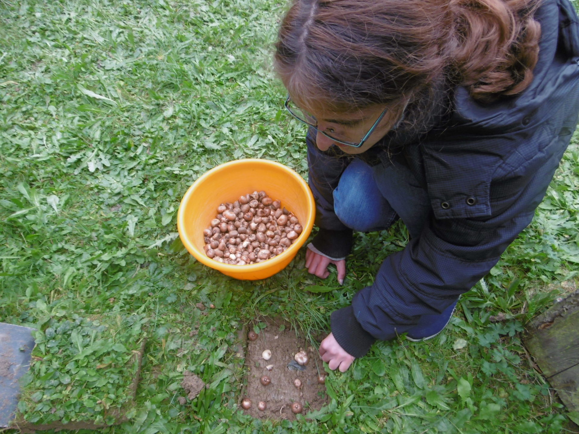 Projekt 1000 Gärten und eine neue Wildblumenwiese