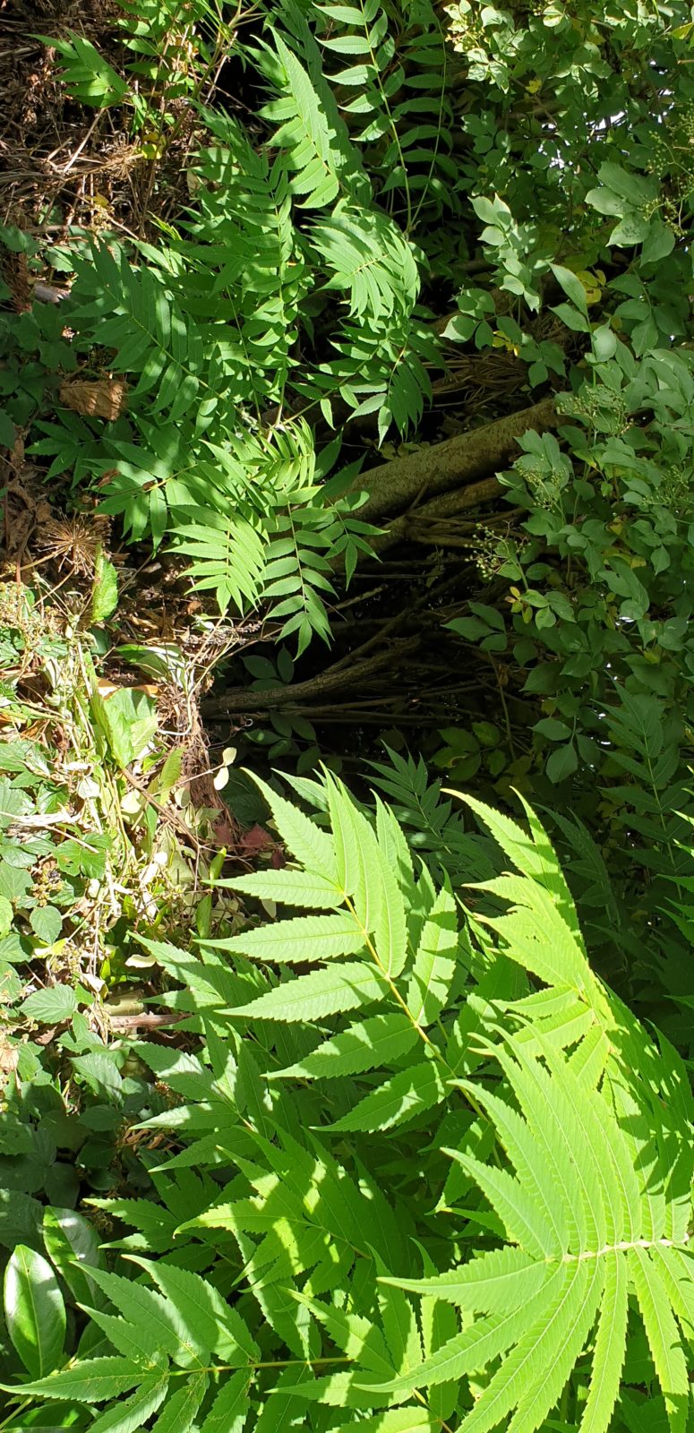 Gartenstrukturen