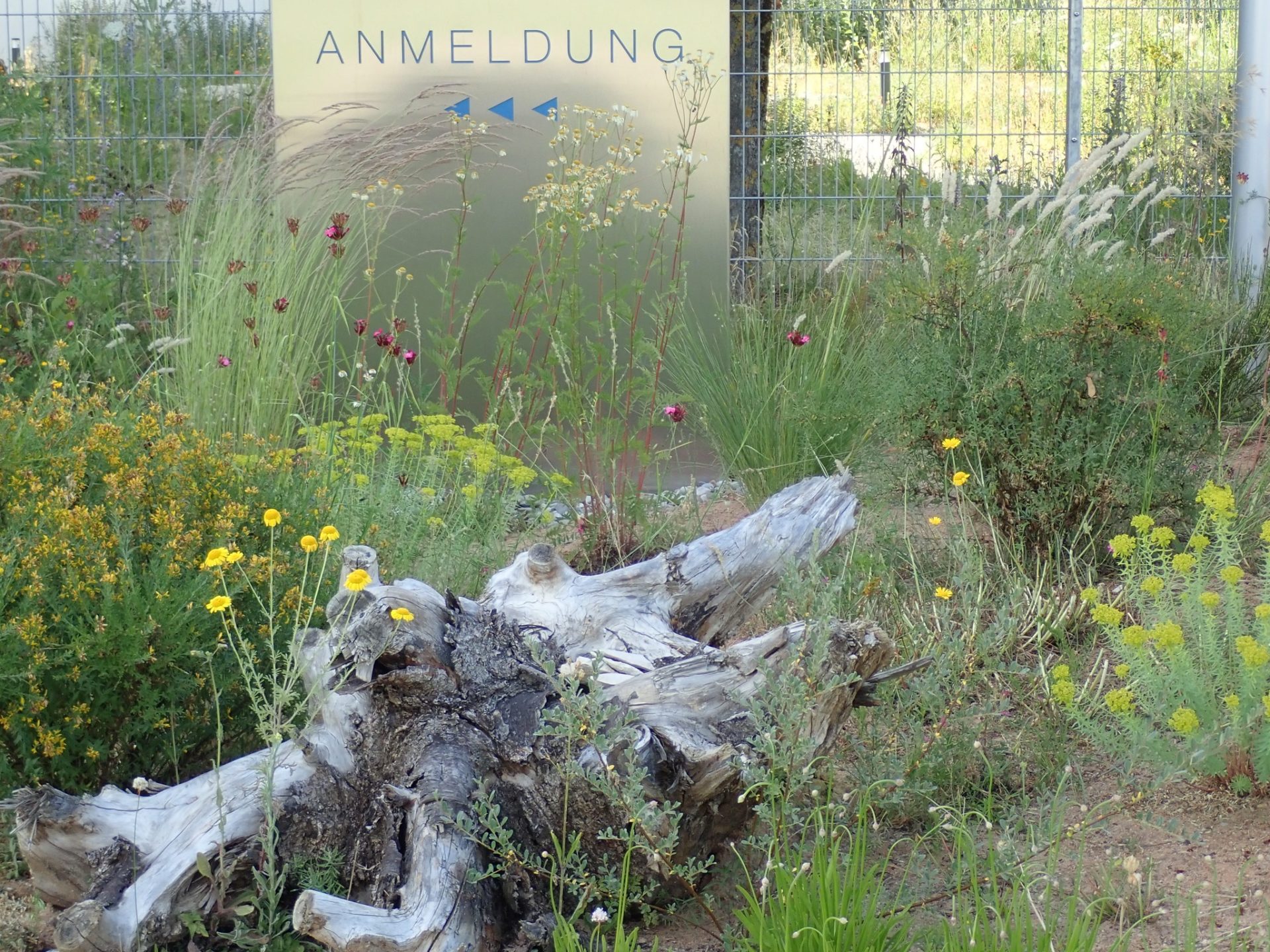 Unser Firmengarten bei HT Group in Heideck