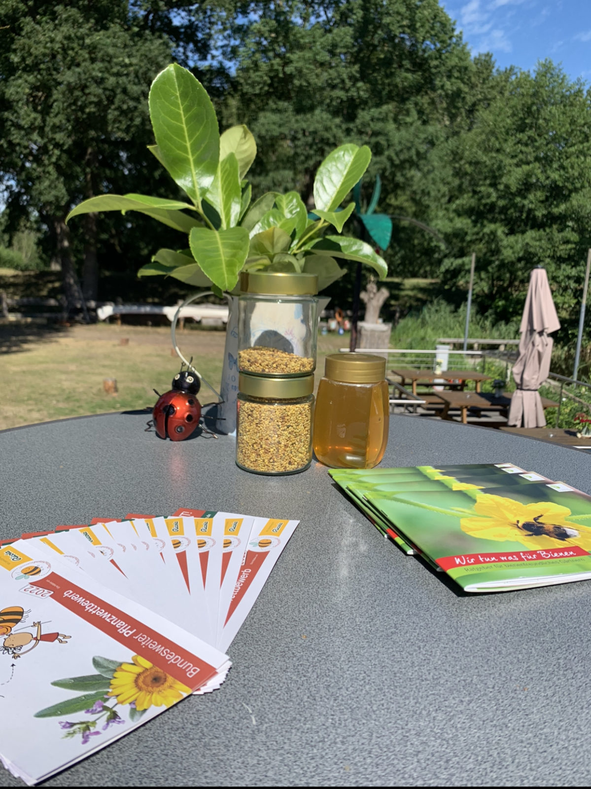 Geht’s den Bienen gut, geht’s uns allen gut!