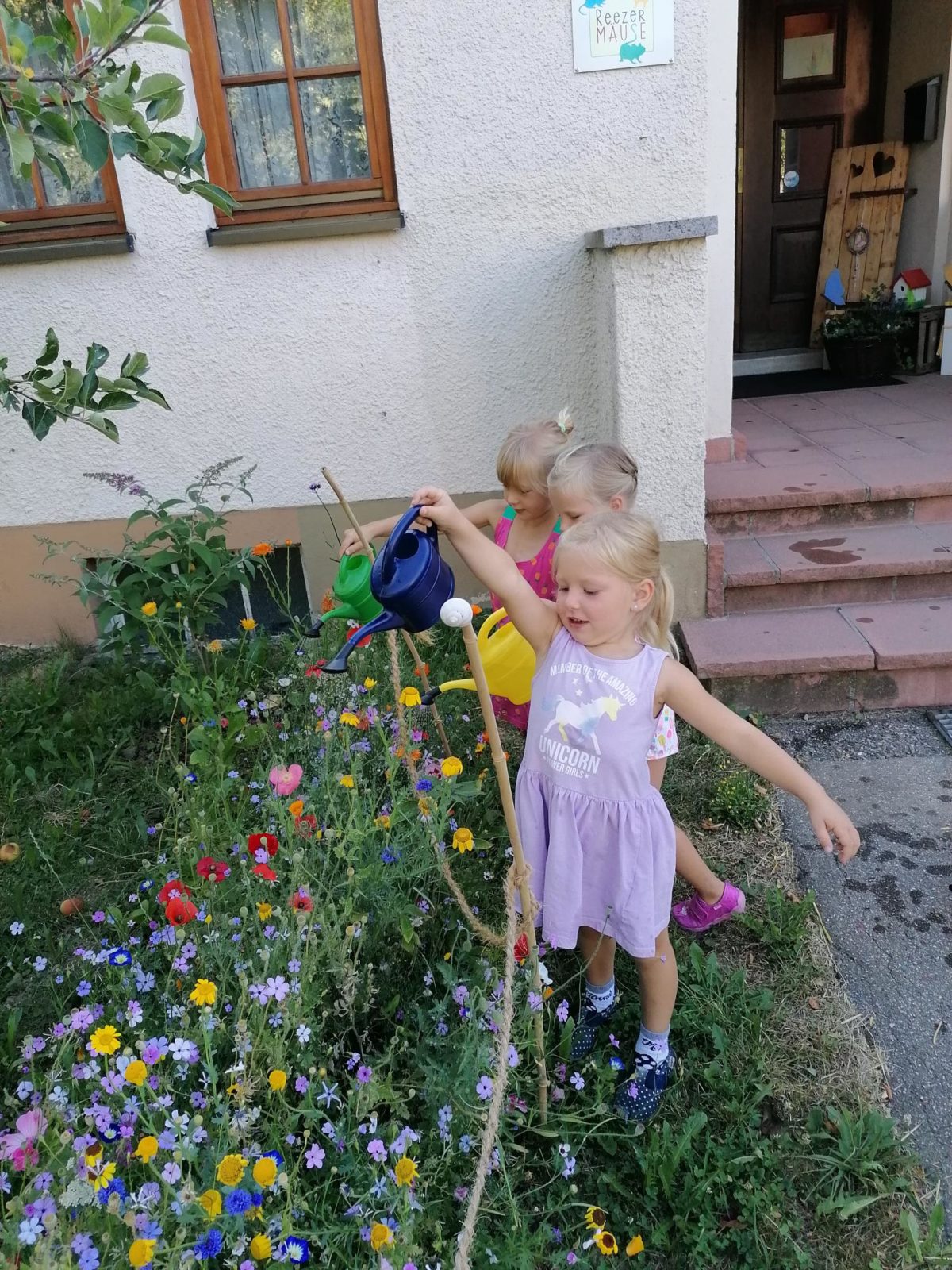 Blühende Vielfalt bei den Reezer Mäusen