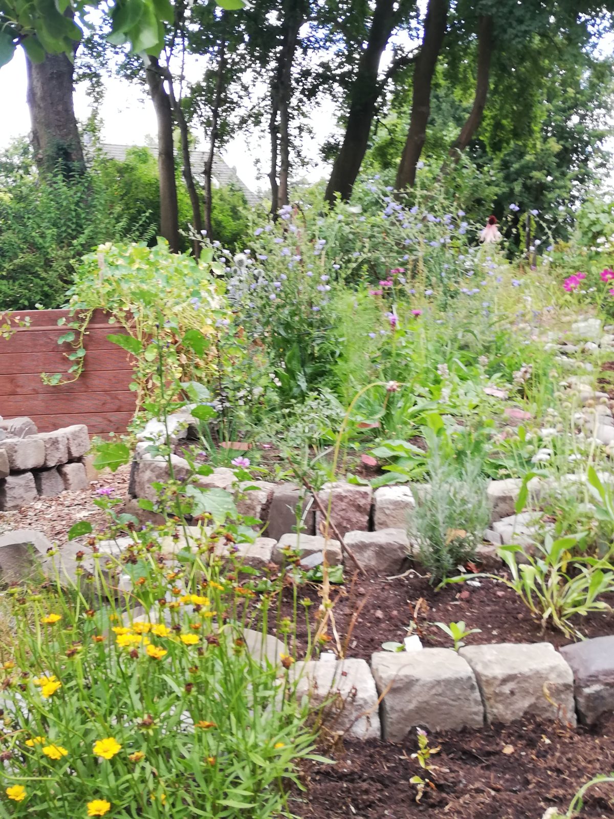 Wildlifegardening