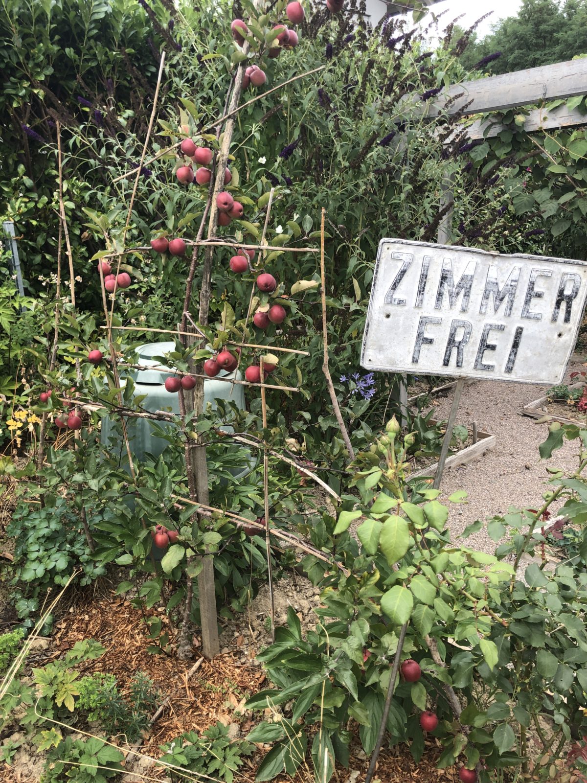 Work and travel – Zimmer frei für Bienen