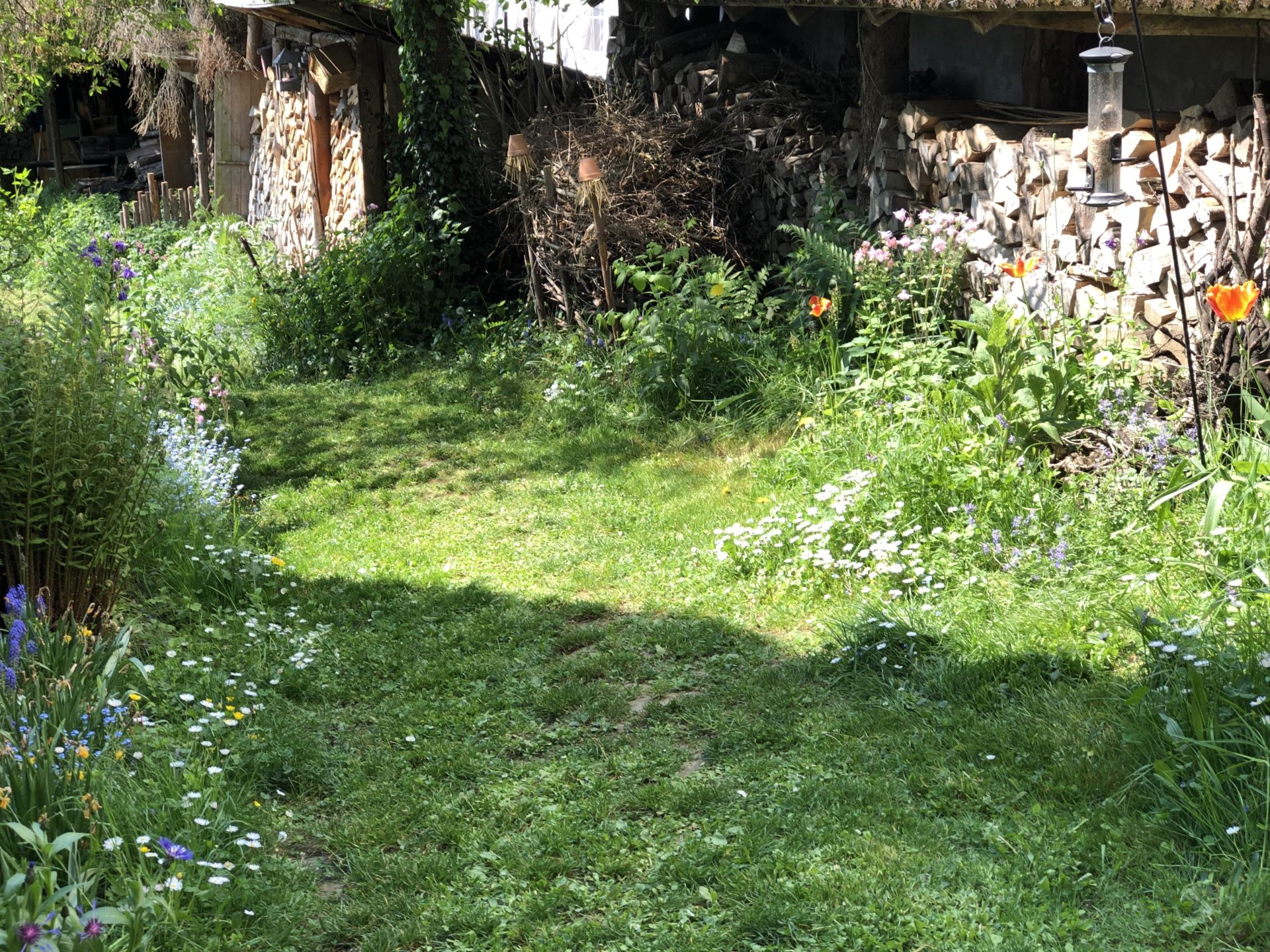 Hortus Lignum et Ludus