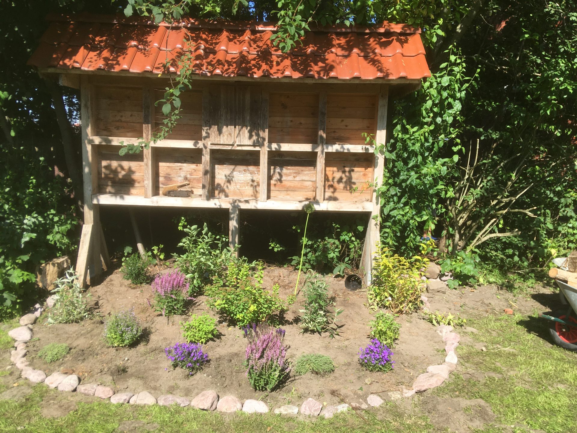 Grünes Klassenzimmer