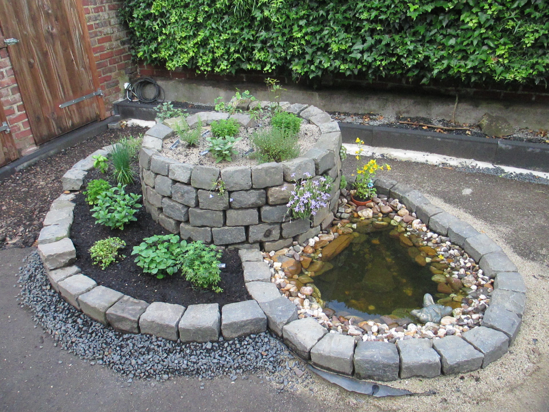 Kräuterpflanzen/Teichblumen