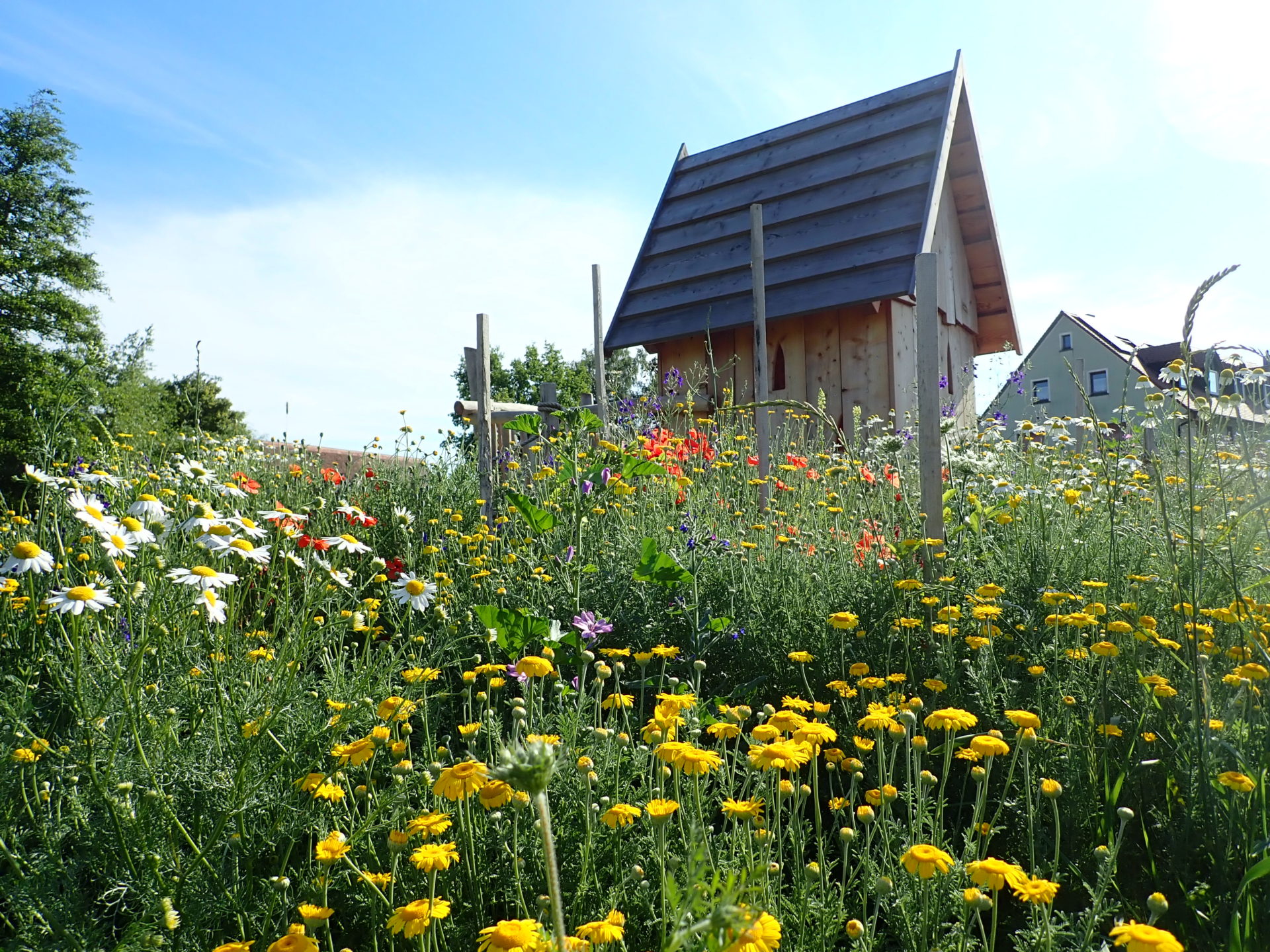 Unser Dorfplatz in Dürrenmungenau – Für Mensch UND Natur