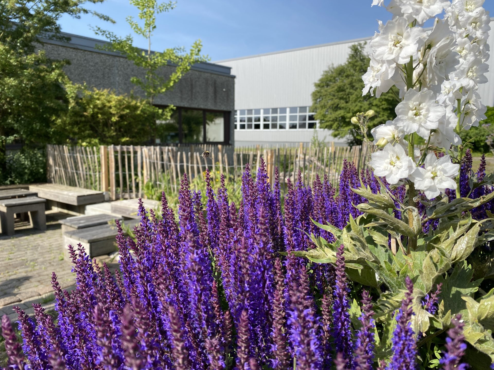 Insektenfreundliches Firmengelände mit Biodiversitätspfad, Blumenwiesen und Sandarium