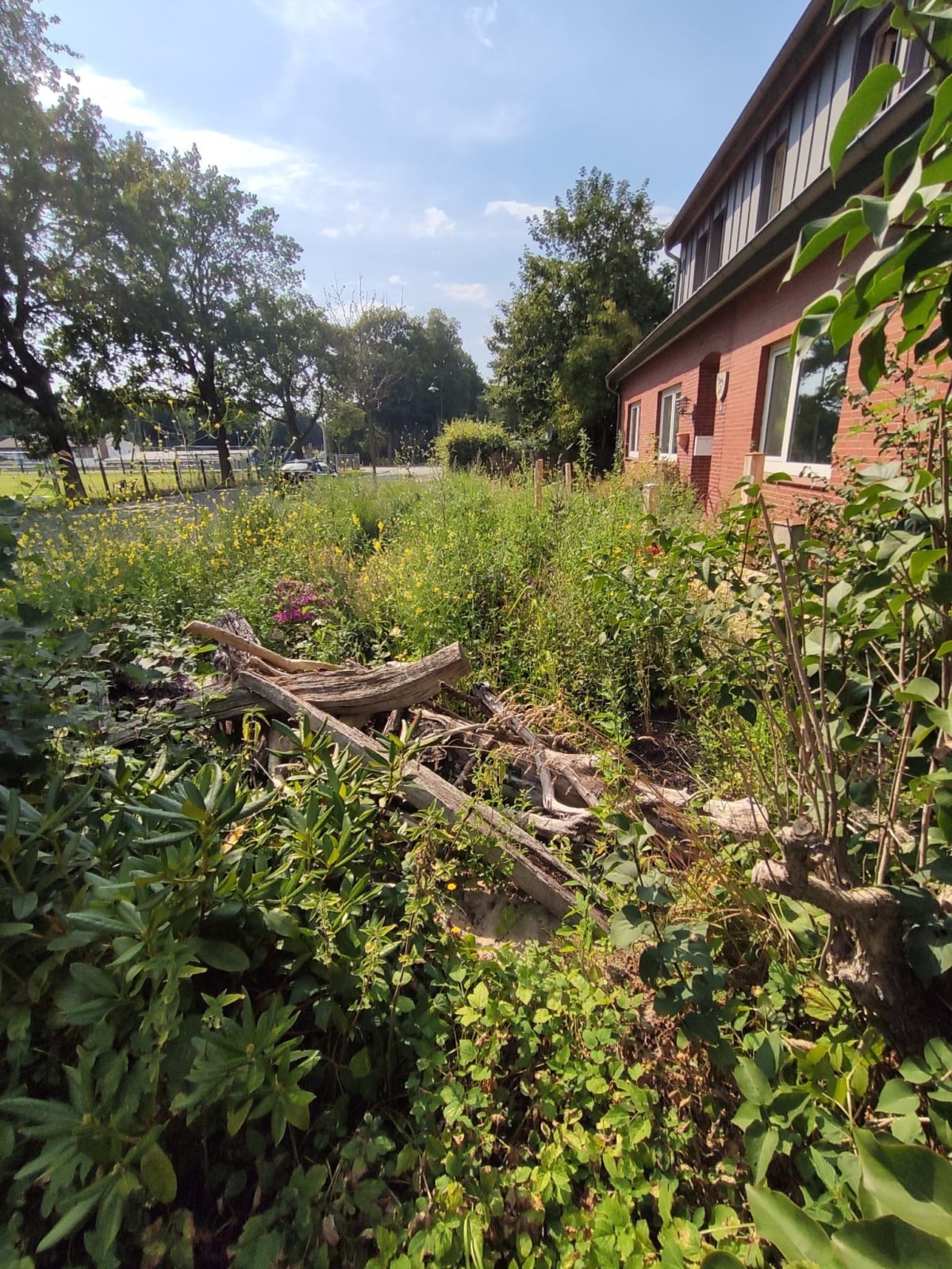 Eine Insektentankstelle für das Dorfzentrum Stubben