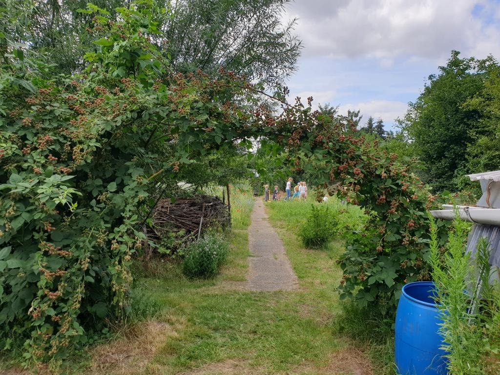 Unser bienenfreundlicher Schrebergarten