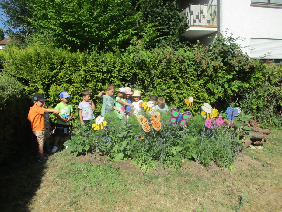 Wundervolle Naturschönheit in unserem Garten!