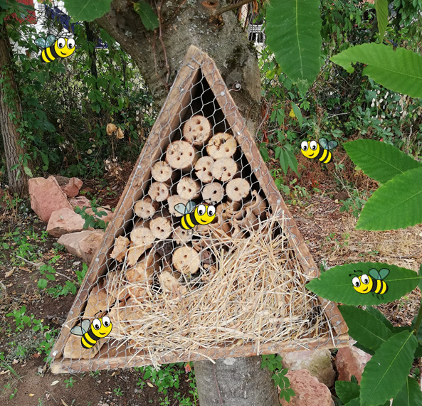 Wir tun was für Bienen am Spessart-Gymnasium