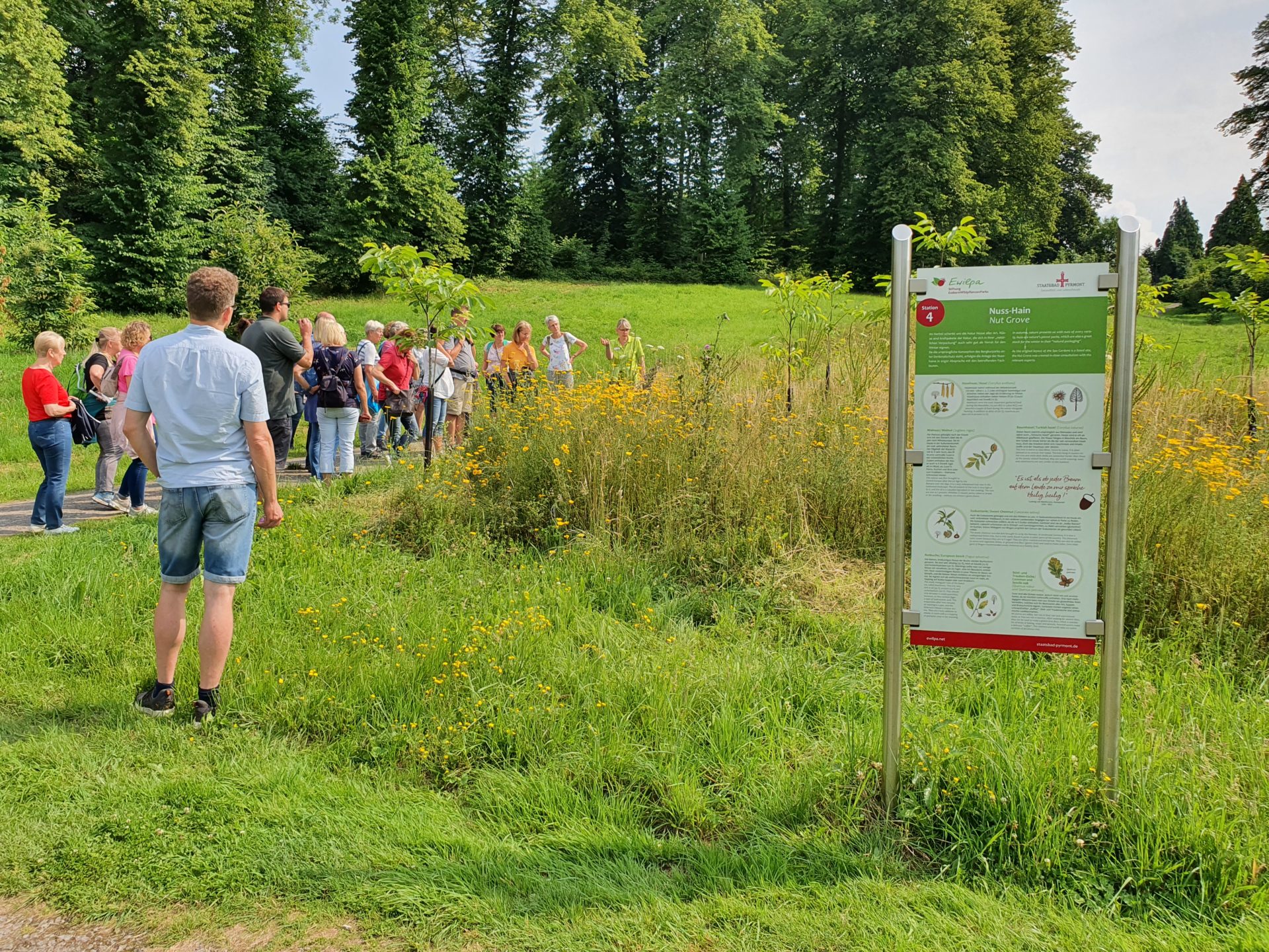 Essbarer Wildpflanzenpark für Mensch und Biene