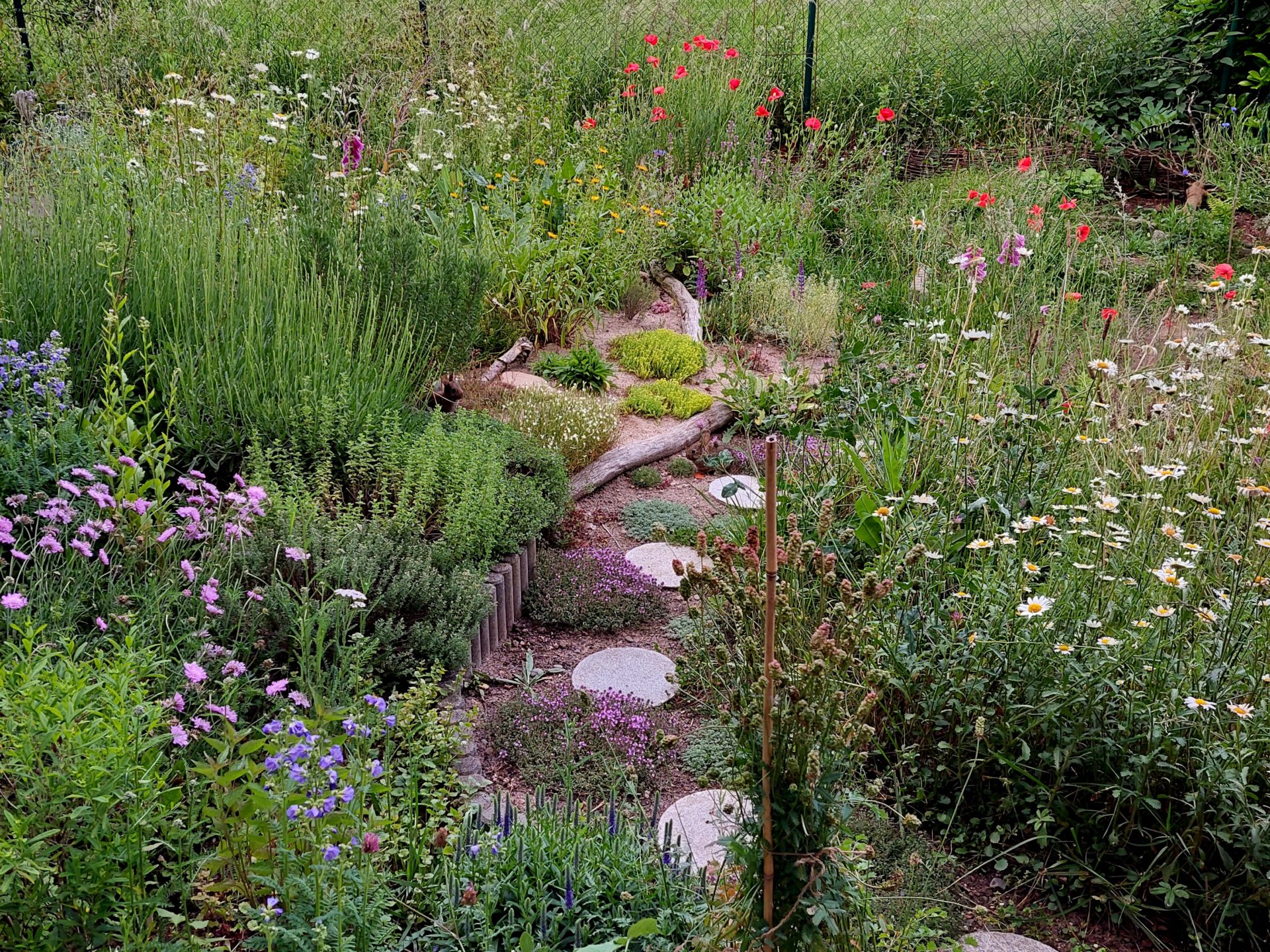 Biodiversität im Minigarten