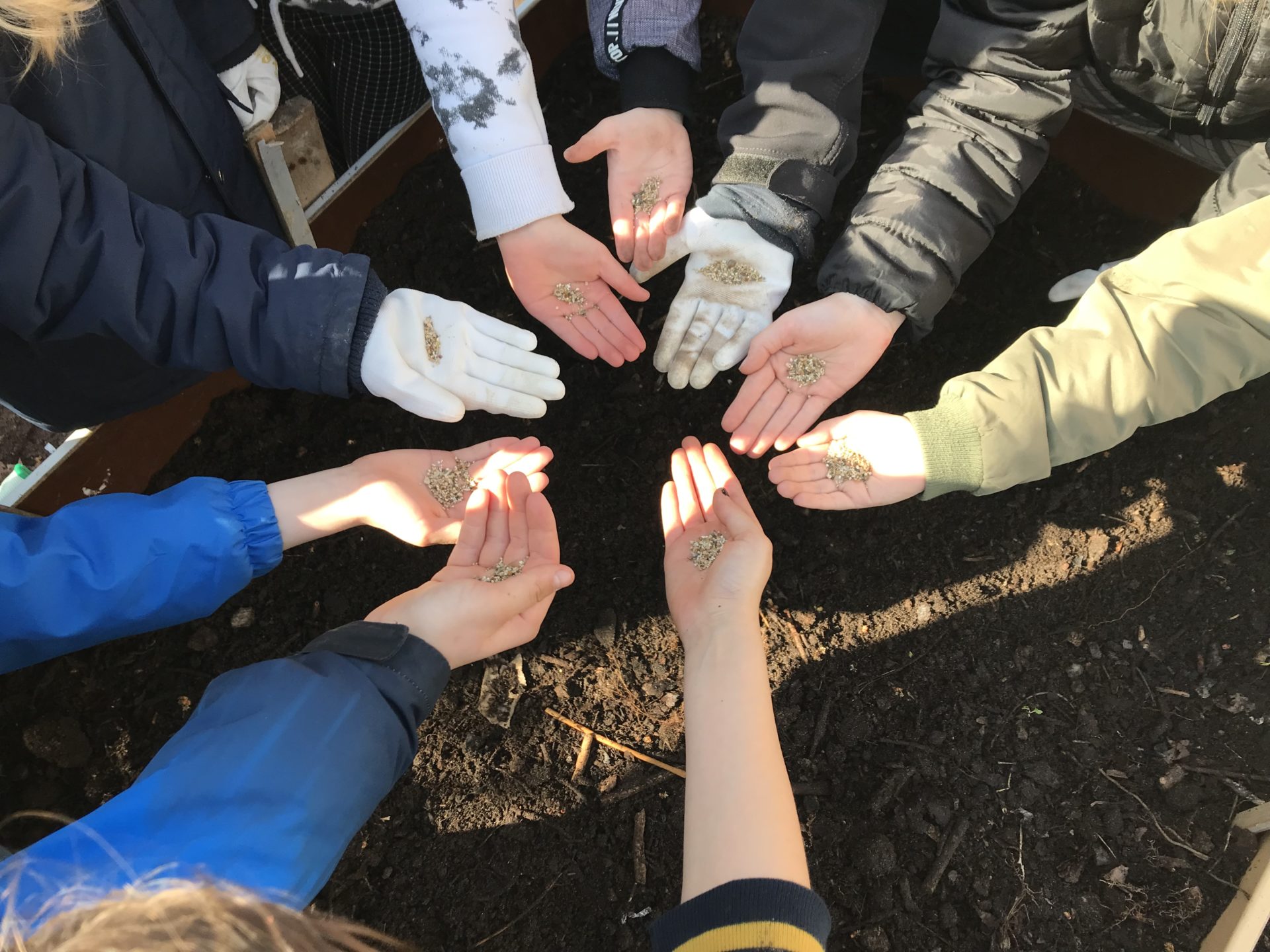 Die Bienen-Helden aus der Grundschule am Hollerbusch