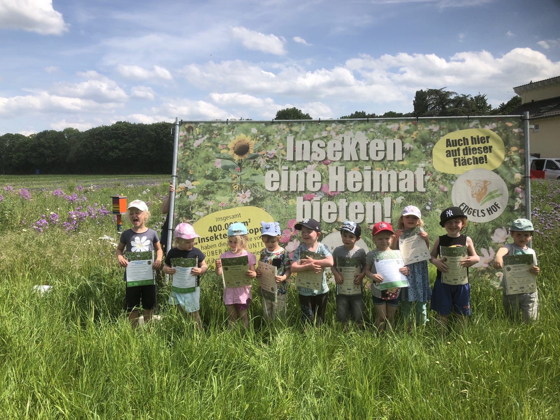 Unser wilder Moosbeeren Blühstreifen