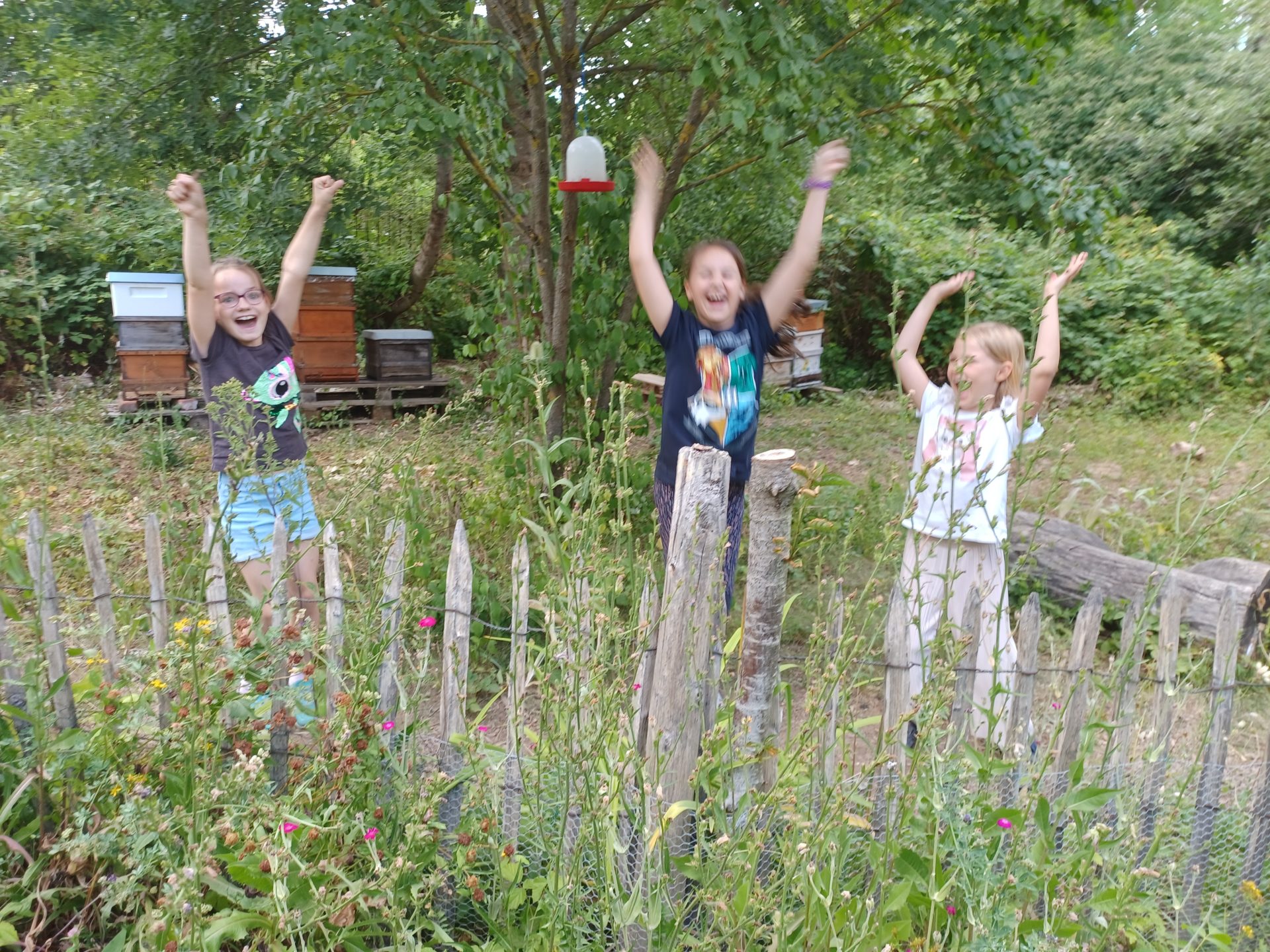 Kleine Bienenschule