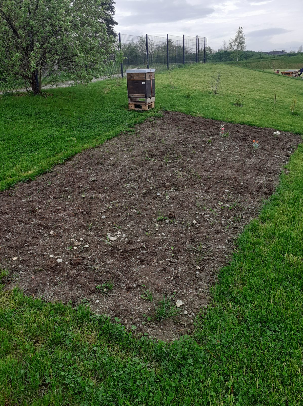 Die Lebenshilfe Bienen und der Bienengarten