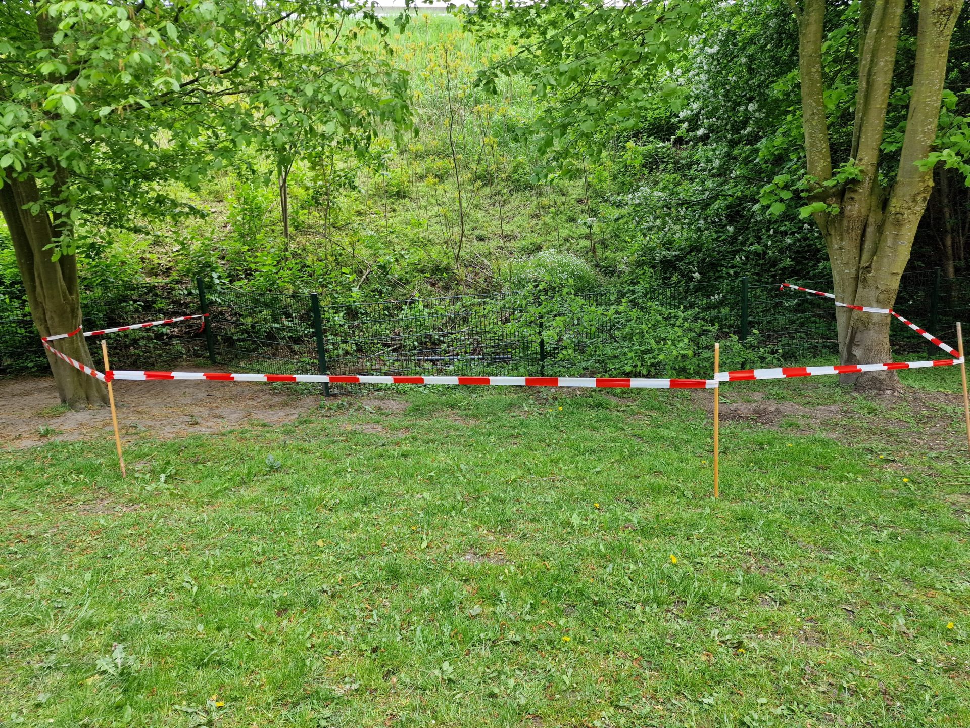 Blumen für Bienen und Deichzwerge in Hohnstorf