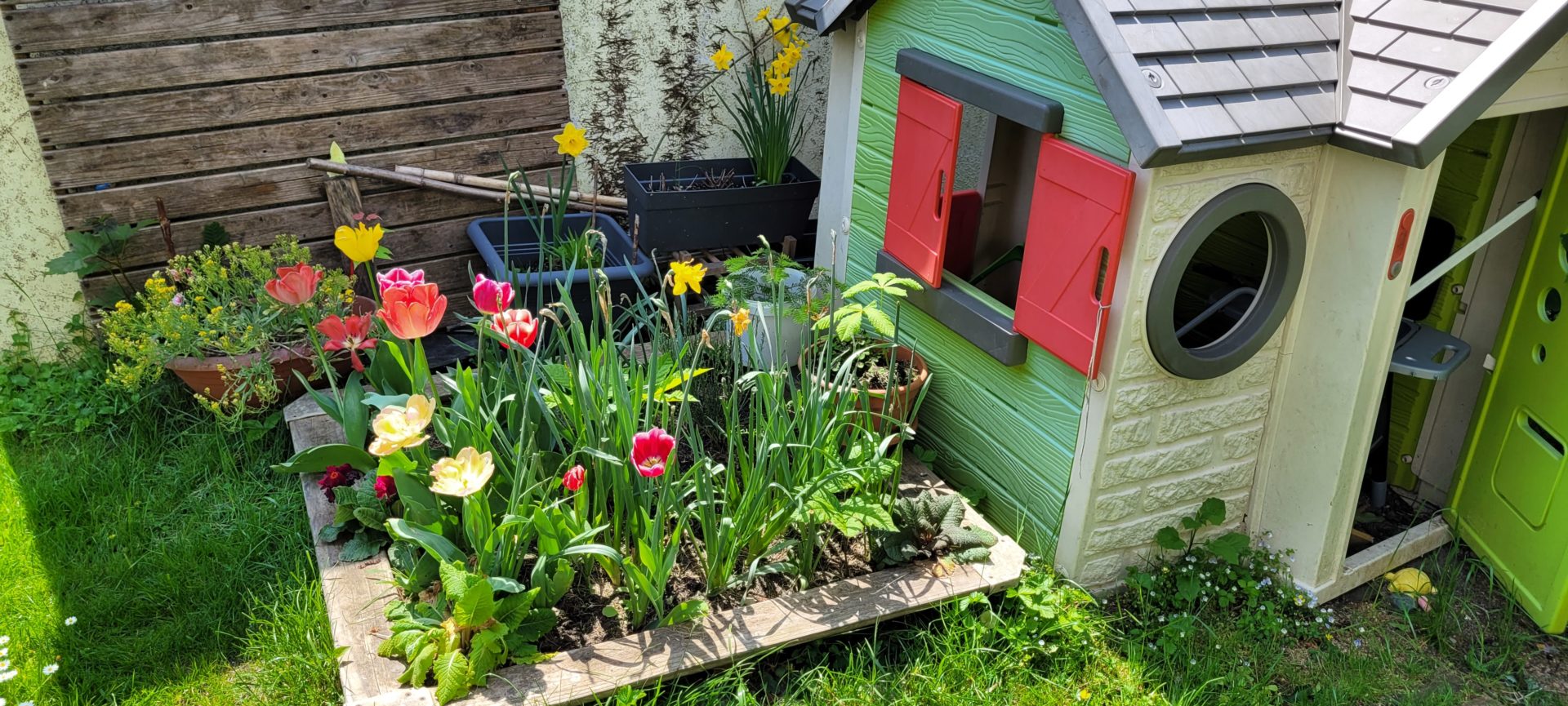 Maxis Bienensandkasten