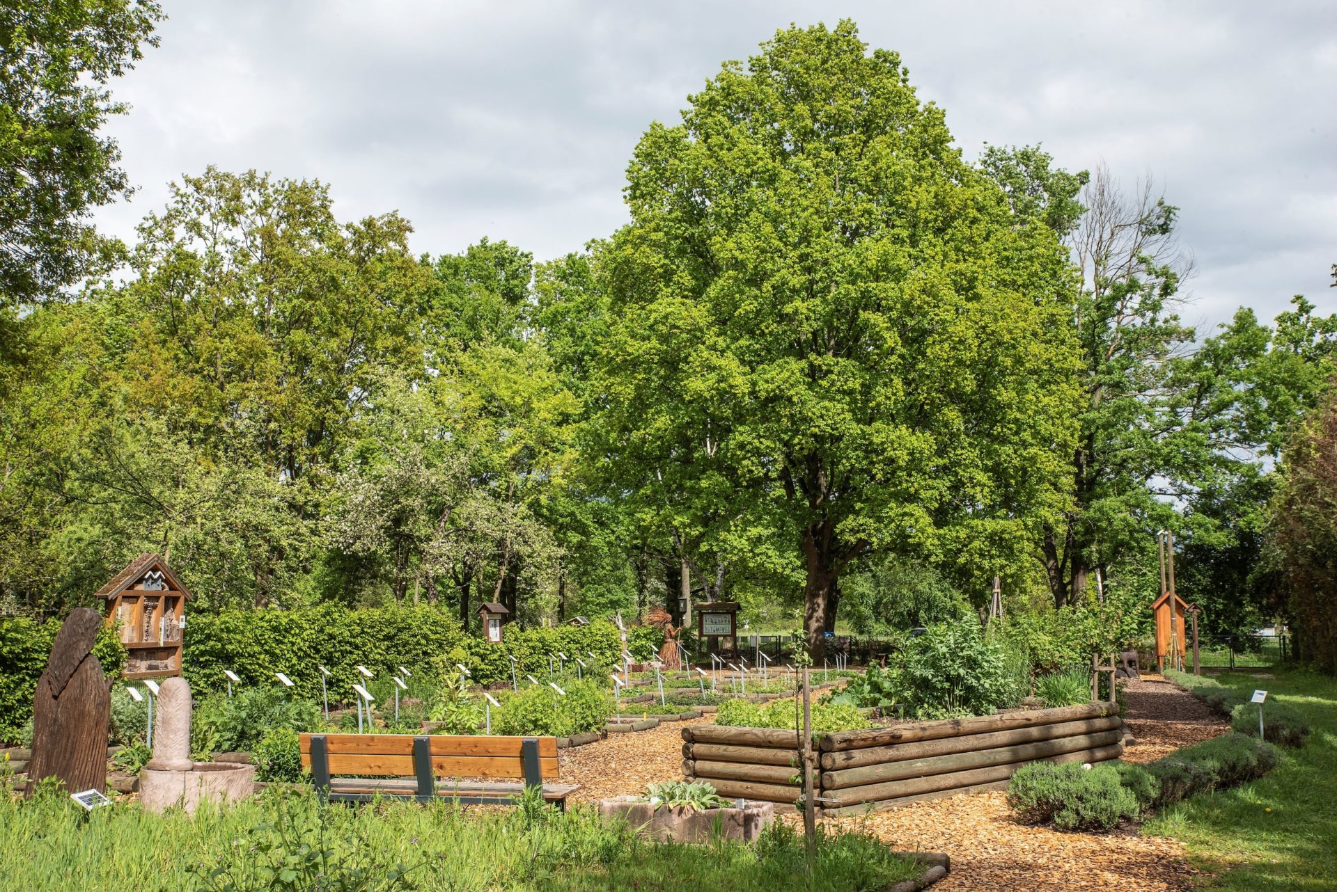 Lehr- und Kräutergarten Dreieich e.V.