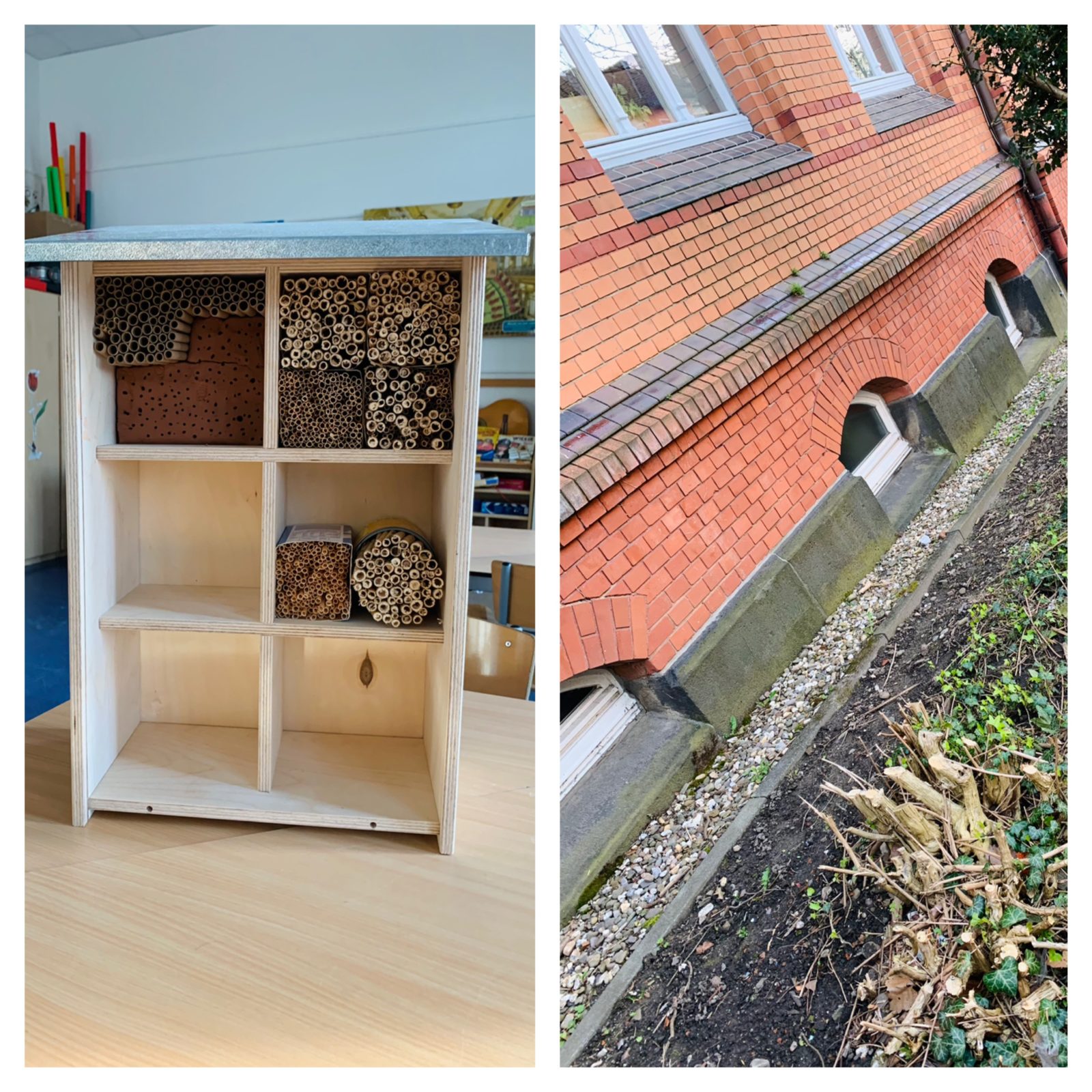 Blumen für die Bienen der Grundschule Germanenstraße
