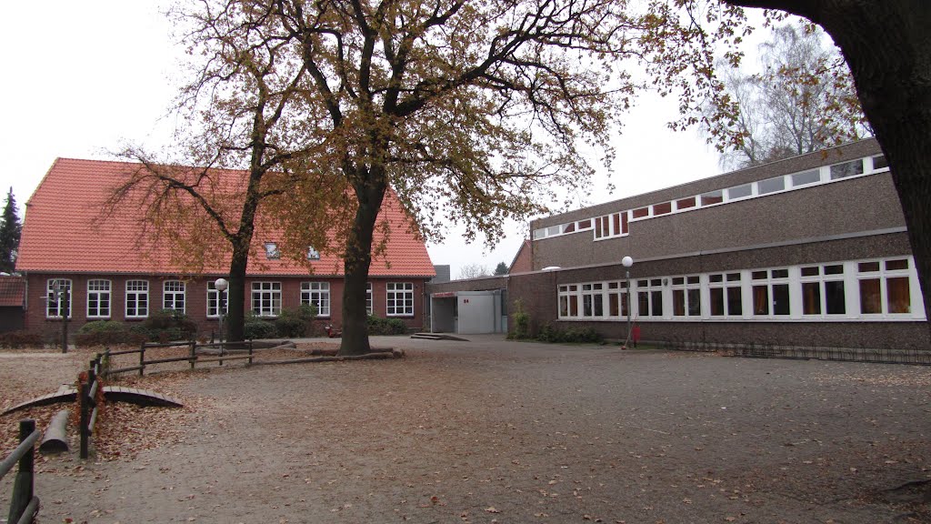 Insekten anlocken auf dem Schulhof