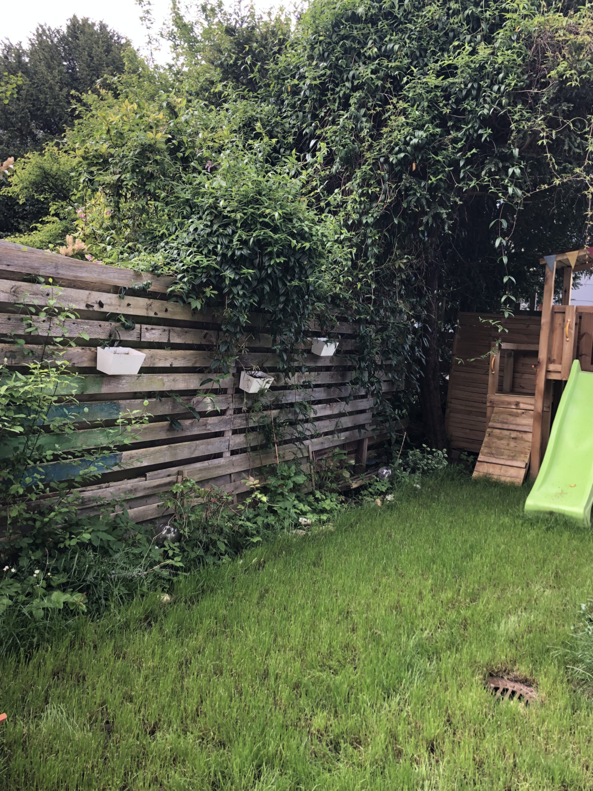 Das Familienzentrum Kumpfmühl summt