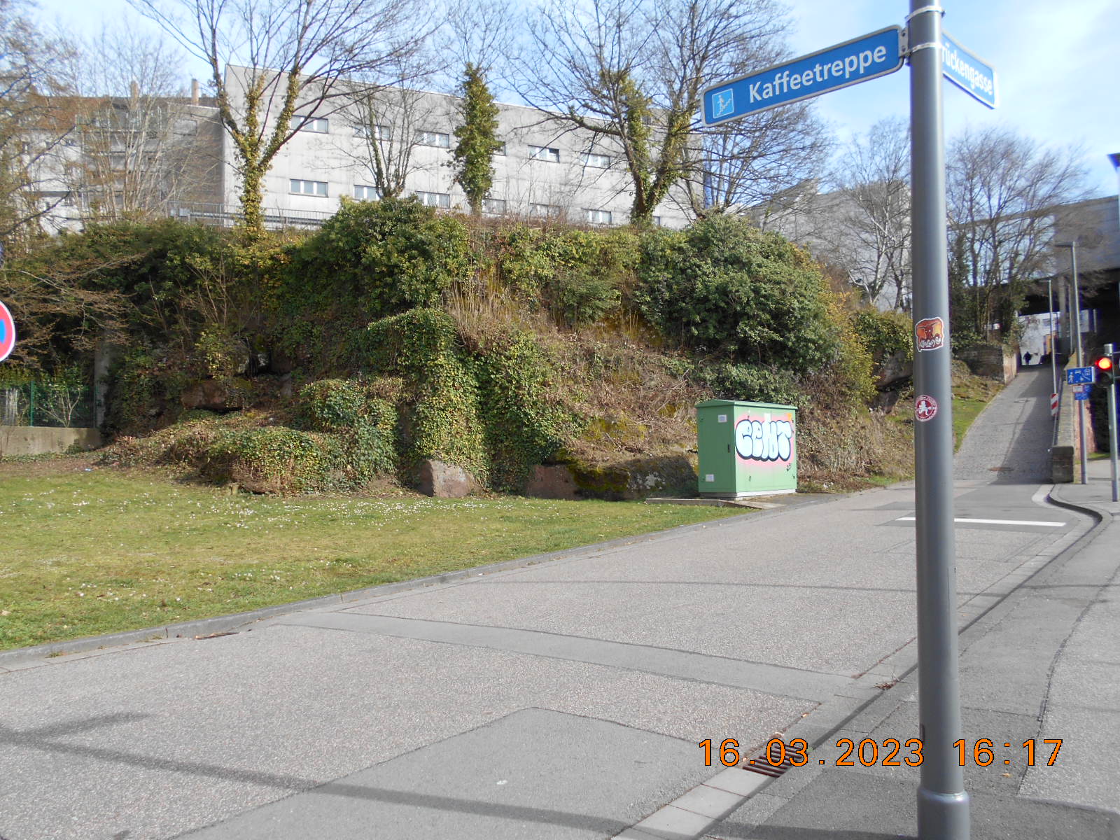 Biodiverse Gestaltung Grünanlage Kaffeegasse/Schäferstraße
