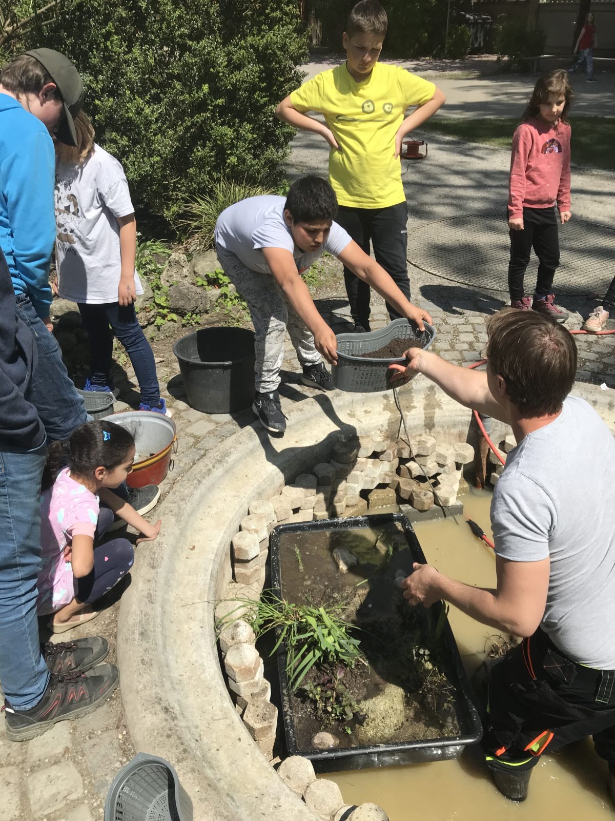 Ein Schulgarten für Alle 🐝🐞🐜🐸